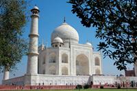 Taj_Mahal_Agra_India-medium(1)